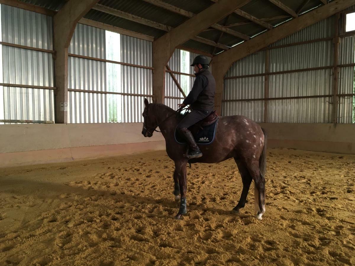 Ferme Gite Equestre En Charente コンフォラン エクステリア 写真